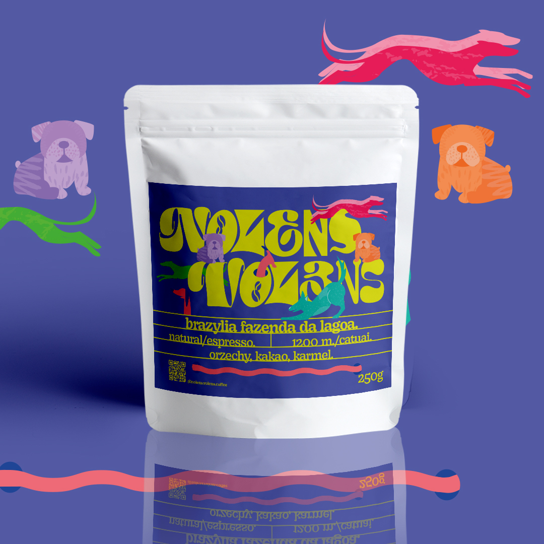 BRAZYLIA FAZENDA DA LAGOA.