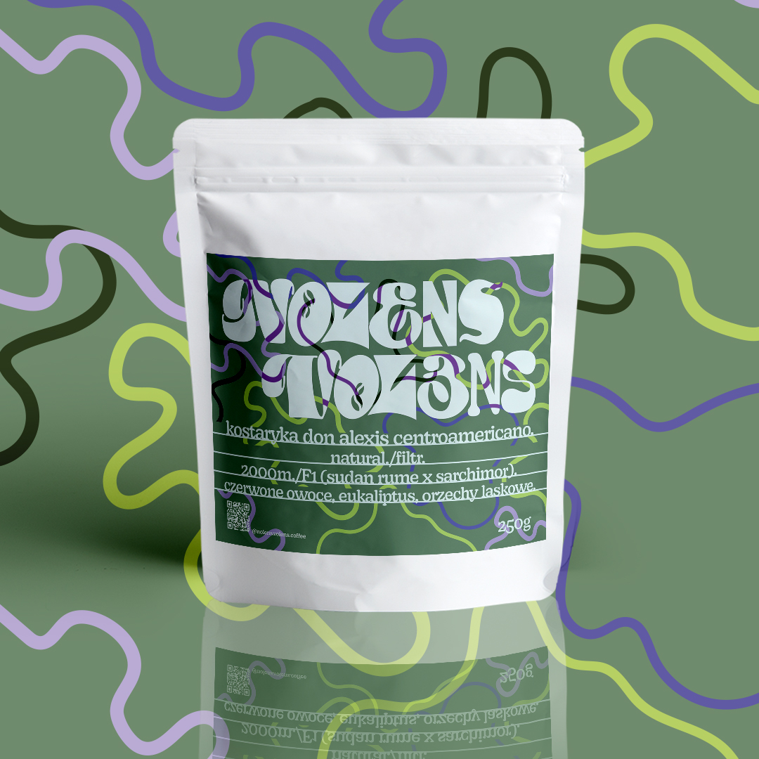 KOSTARYKA DON ALEXIS CENTROAMERICANO